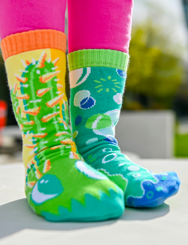 Pokey & Poppy Mismatched Socks for Adults (Limited Edition) - Untamed Post